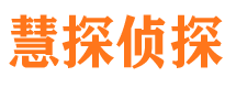 武江市调查公司